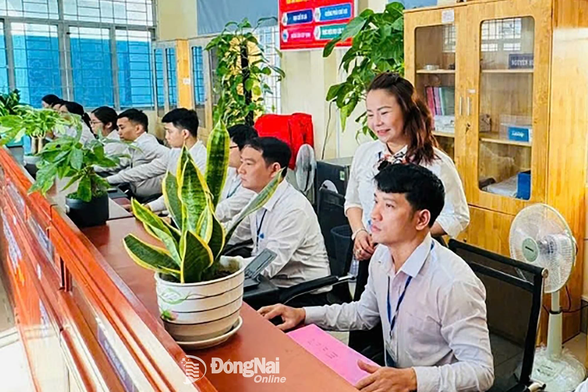 anh27 1